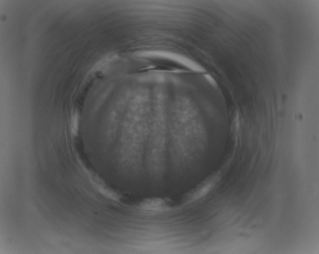 X0000081310076200702012345