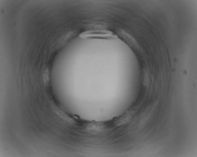 X0000081310077200702012345