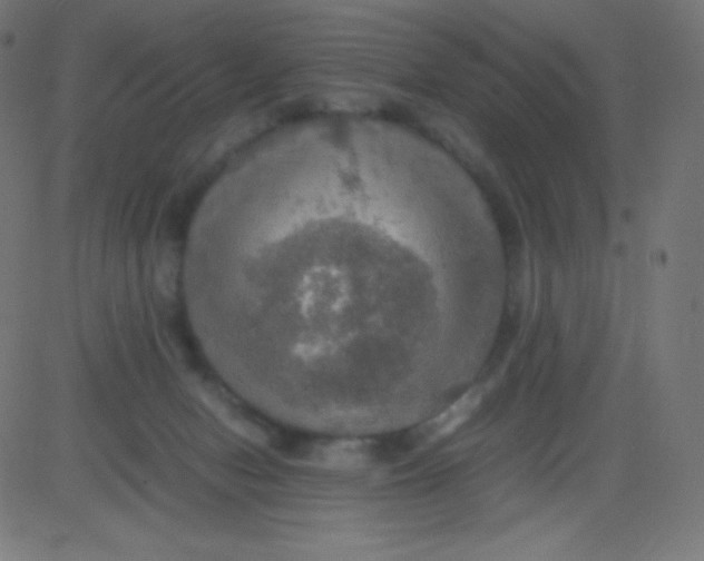 X0000081310078200702012345