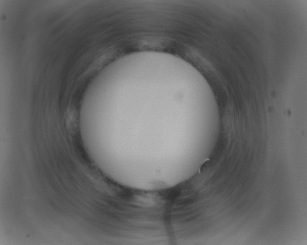 X0000081310079200702012345