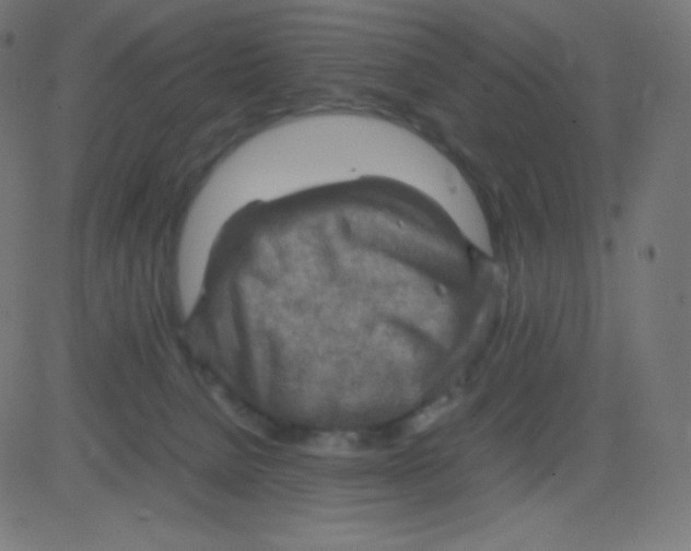 X0000081310080200702012345