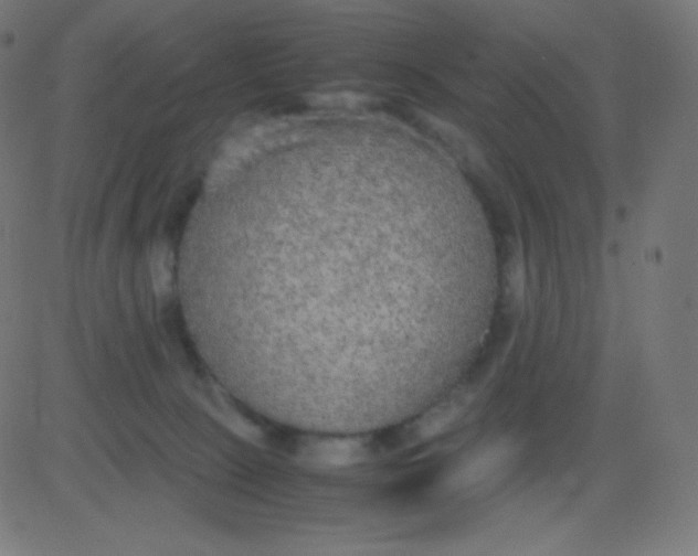 X0000081310081200702012345