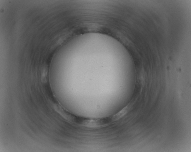 X0000081310082200702012345