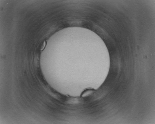 X0000081310083200702012345