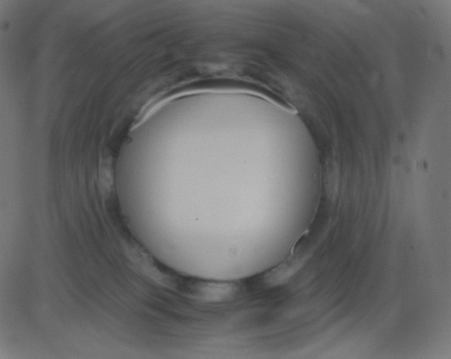 X0000081310085200702012345