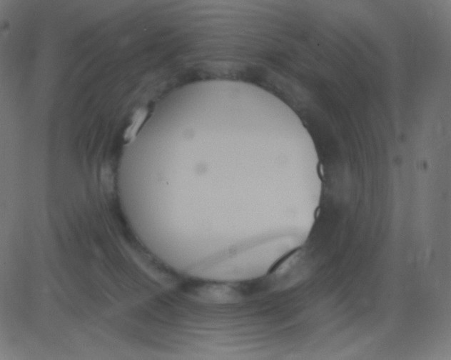 X0000081310086200702012345