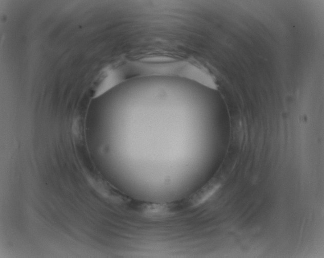 X0000081310088200702012345