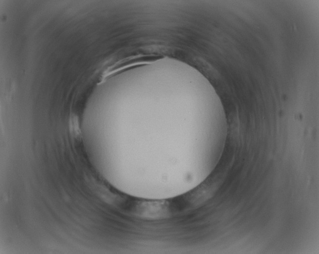 X0000081310089200702012345