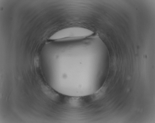 X0000081310090200702012345