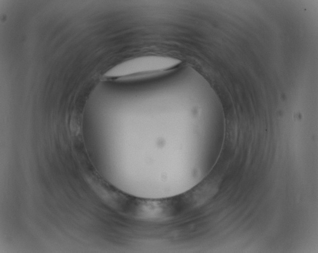 X0000081310091200702012345