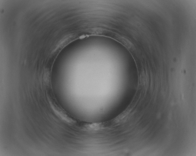 X0000081310092200702012345