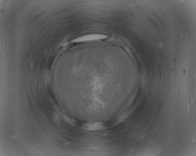 X0000081310093200702012345