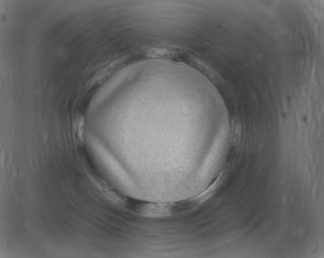 X0000081310094200702012345