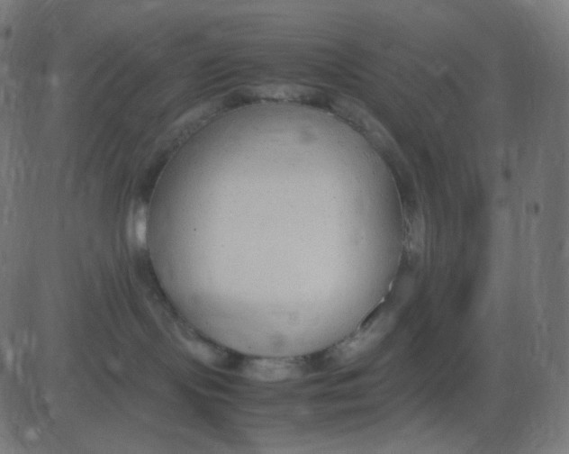 X0000081310095200702012345