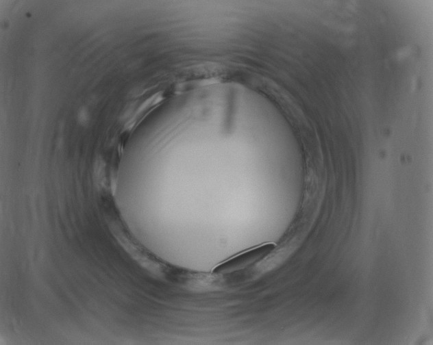 X0000081310096200702012345