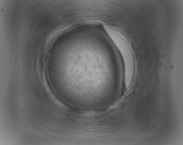 X0000081310097200702012344