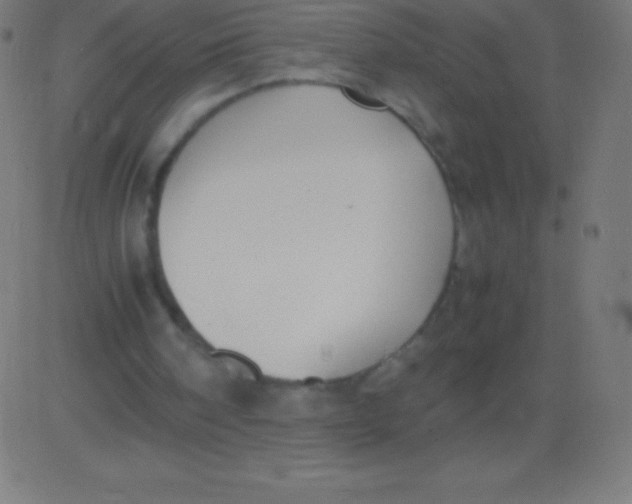 X0000081310098200702012344