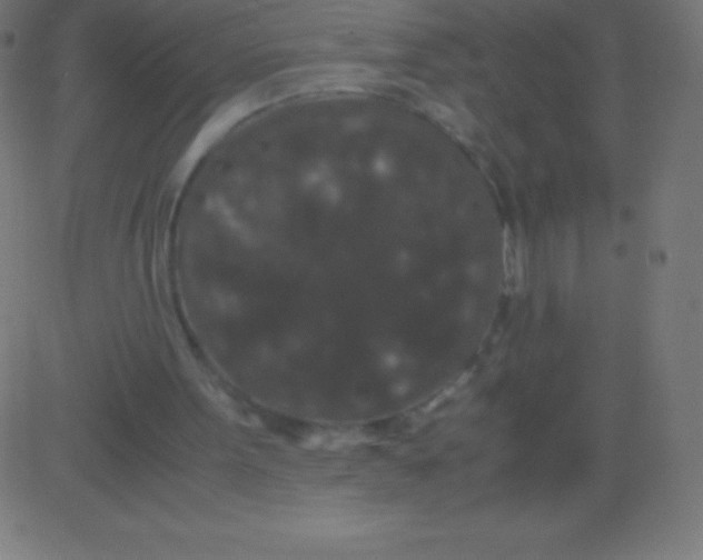 X0000081310099200702012344