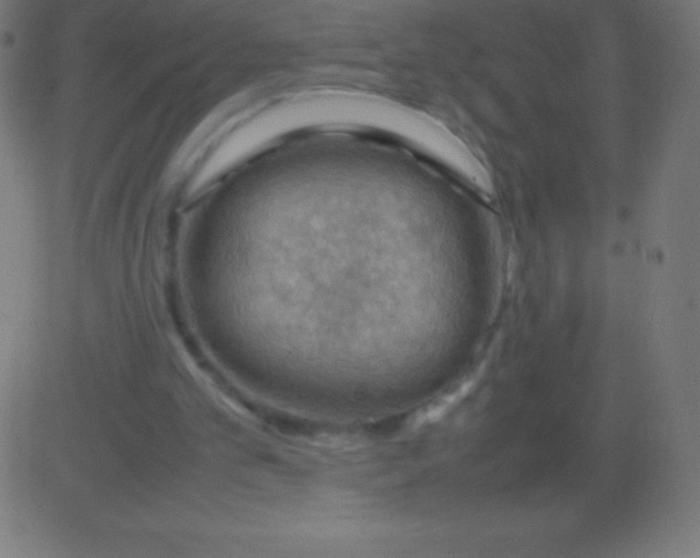 X0000081310101200702012344