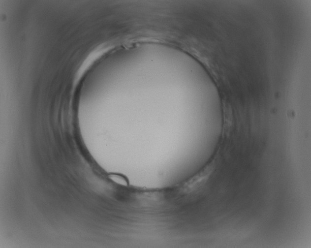 X0000081310102200702012344