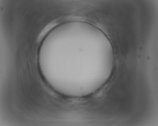 X0000081310103200702012344