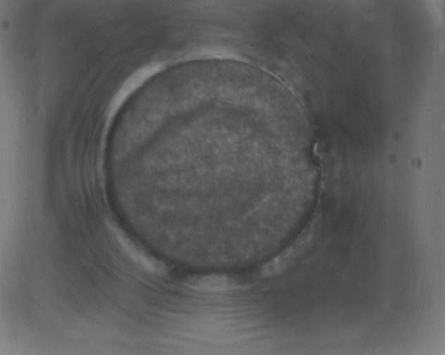 X0000081310104200702012344