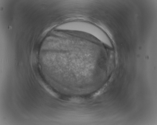 X0000081310105200702012344