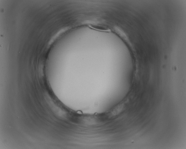 X0000081310106200702012344