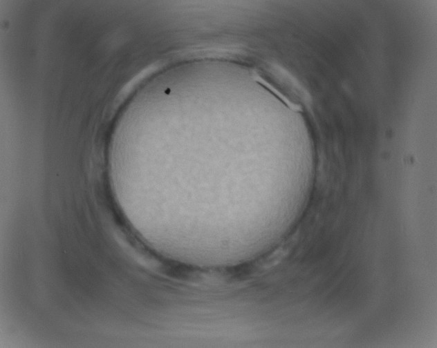 X0000081310107200702012344