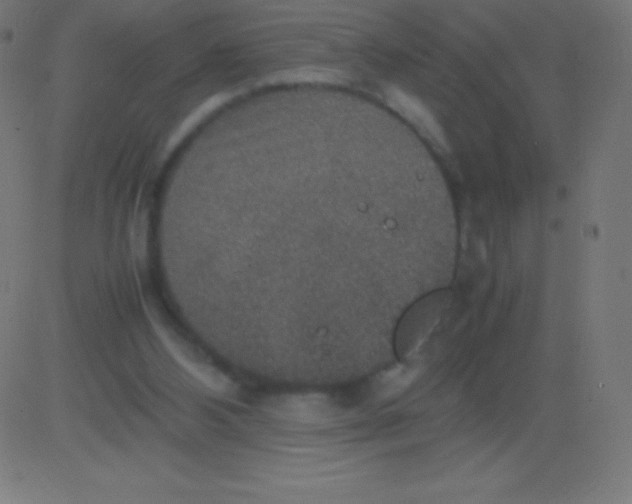 X0000081310108200702012344