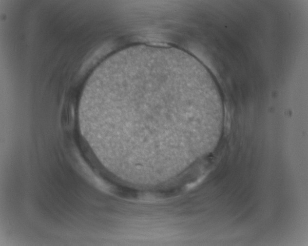 X0000081310109200702012344