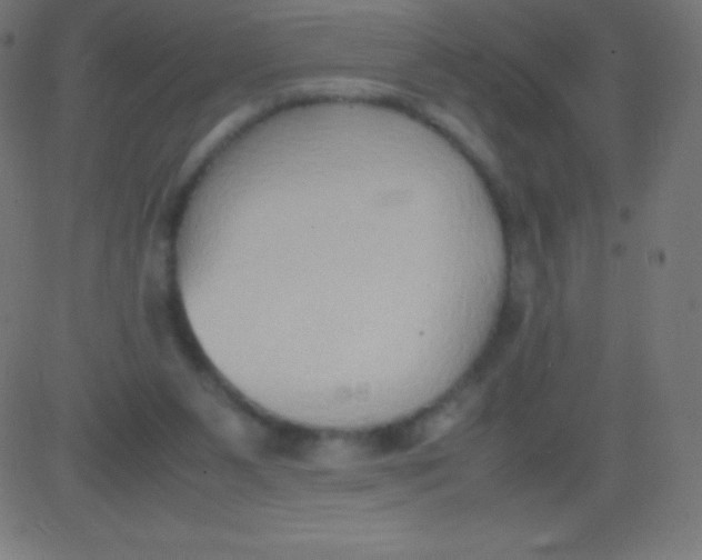 X0000081310111200702012344