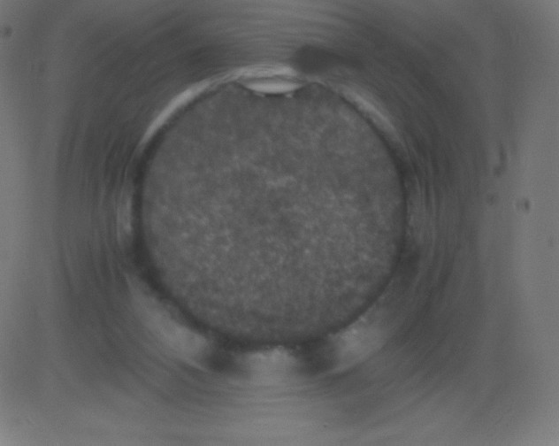 X0000081310112200702012344