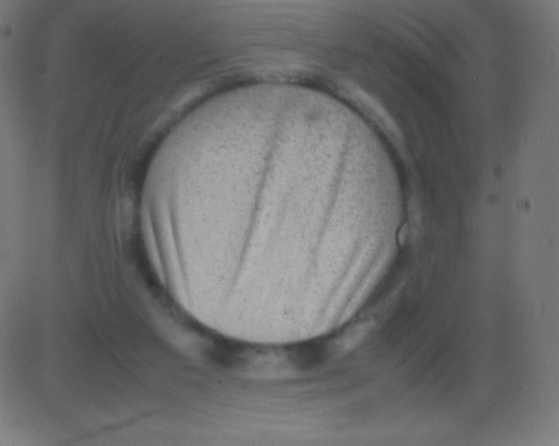 X0000081310113200702012344