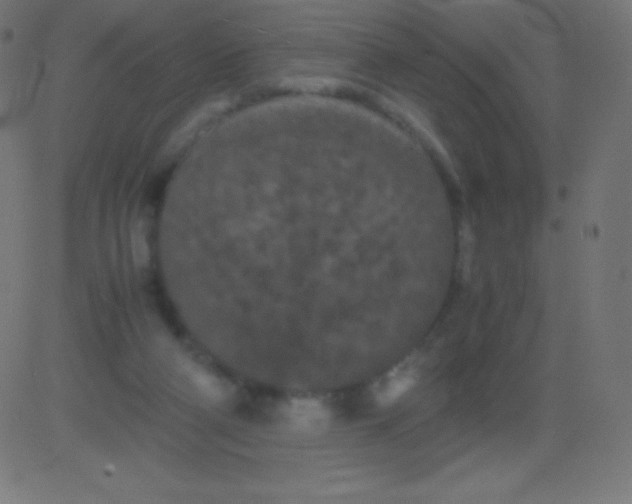 X0000081310114200702012344