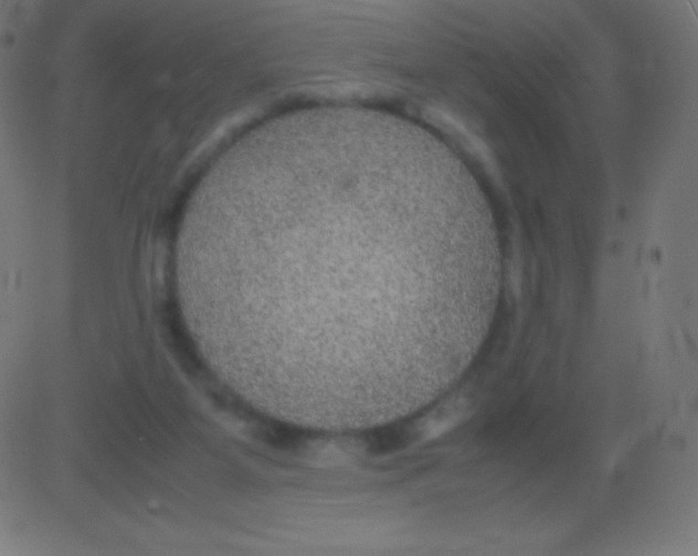 X0000081310115200702012344