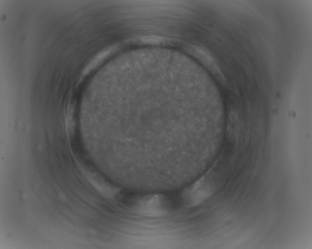 X0000081310116200702012344