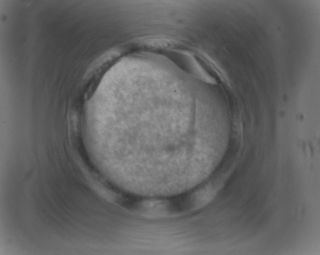 X0000081310117200702012344