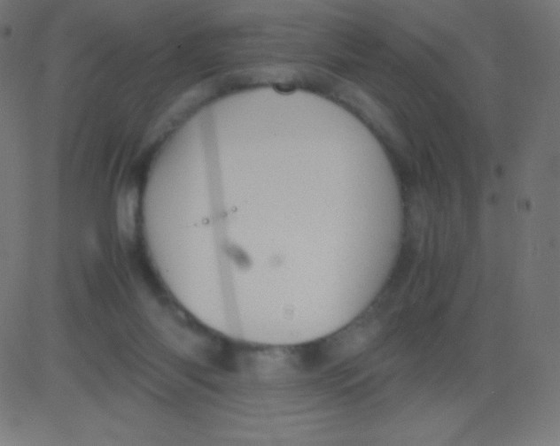 X0000081310118200702012344