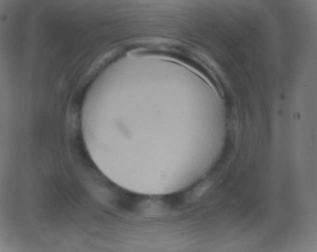 X0000081310119200702012344