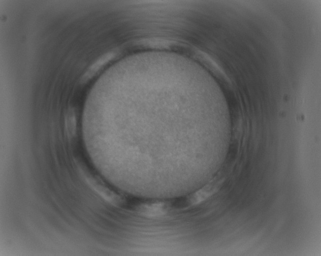 X0000081310120200702012344