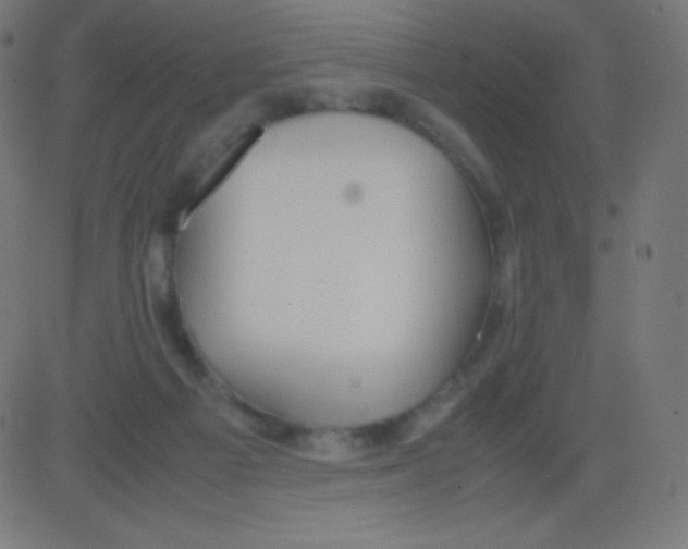 X0000081310121200702012344