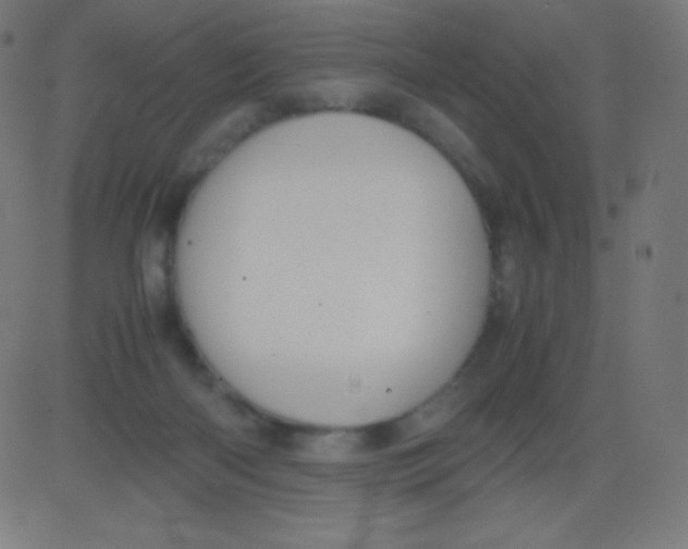 X0000081310122200702012344