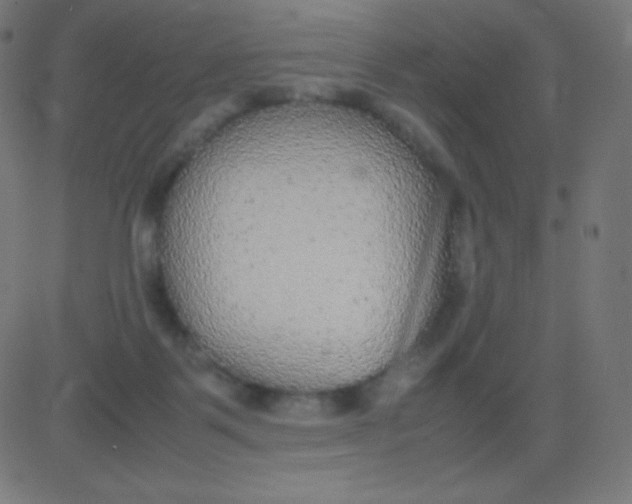 X0000081310123200702012344