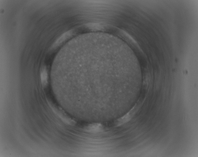 X0000081310124200702012344