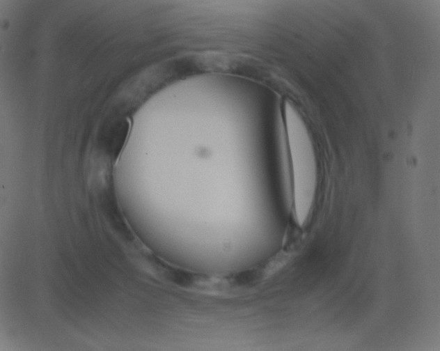 X0000081310125200702012344