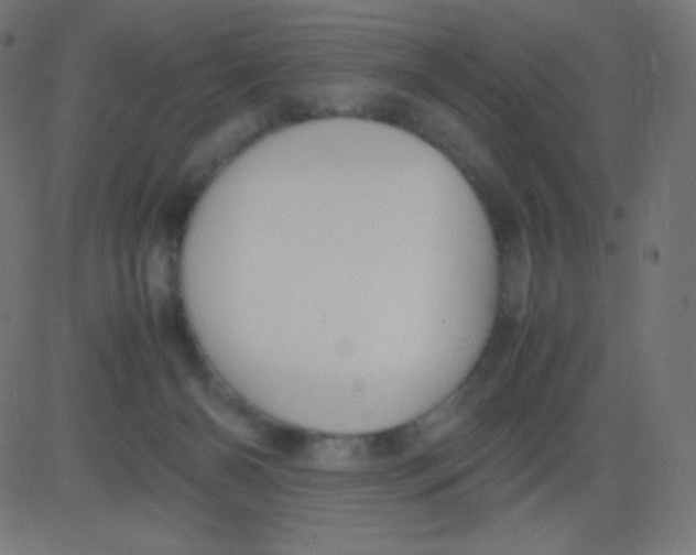 X0000081310126200702012344