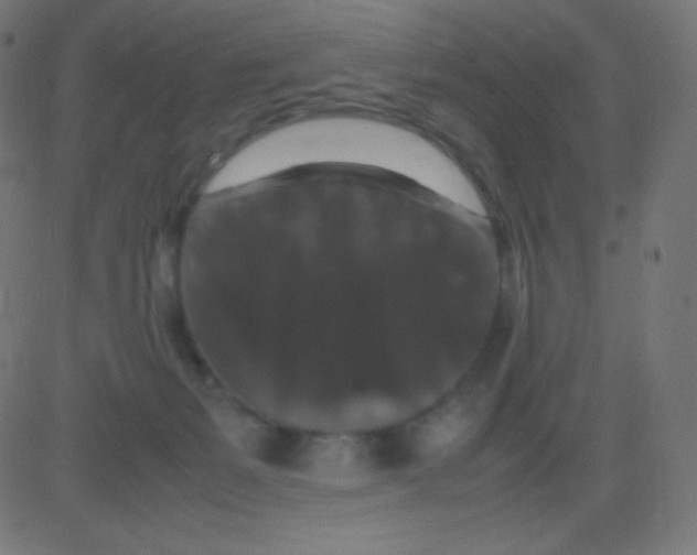 X0000081310127200702012344