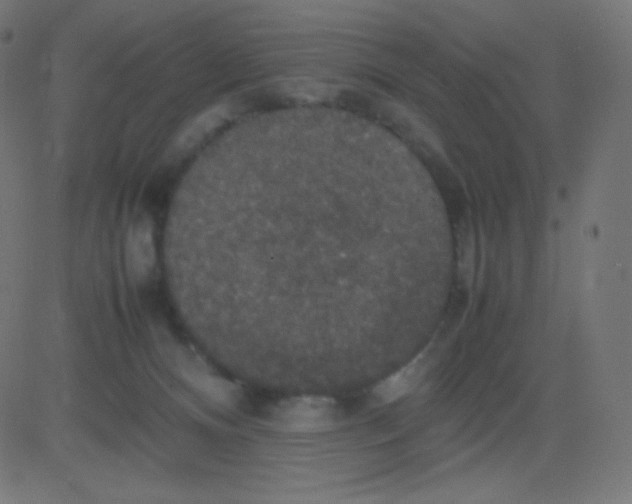 X0000081310128200702012344