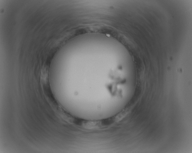 X0000081310129200702012344